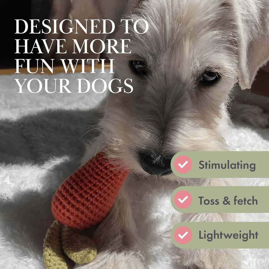 Pack 3 Juguetes Orgánicos para Perros | Zanahoria, Pera y Piña de Algodón