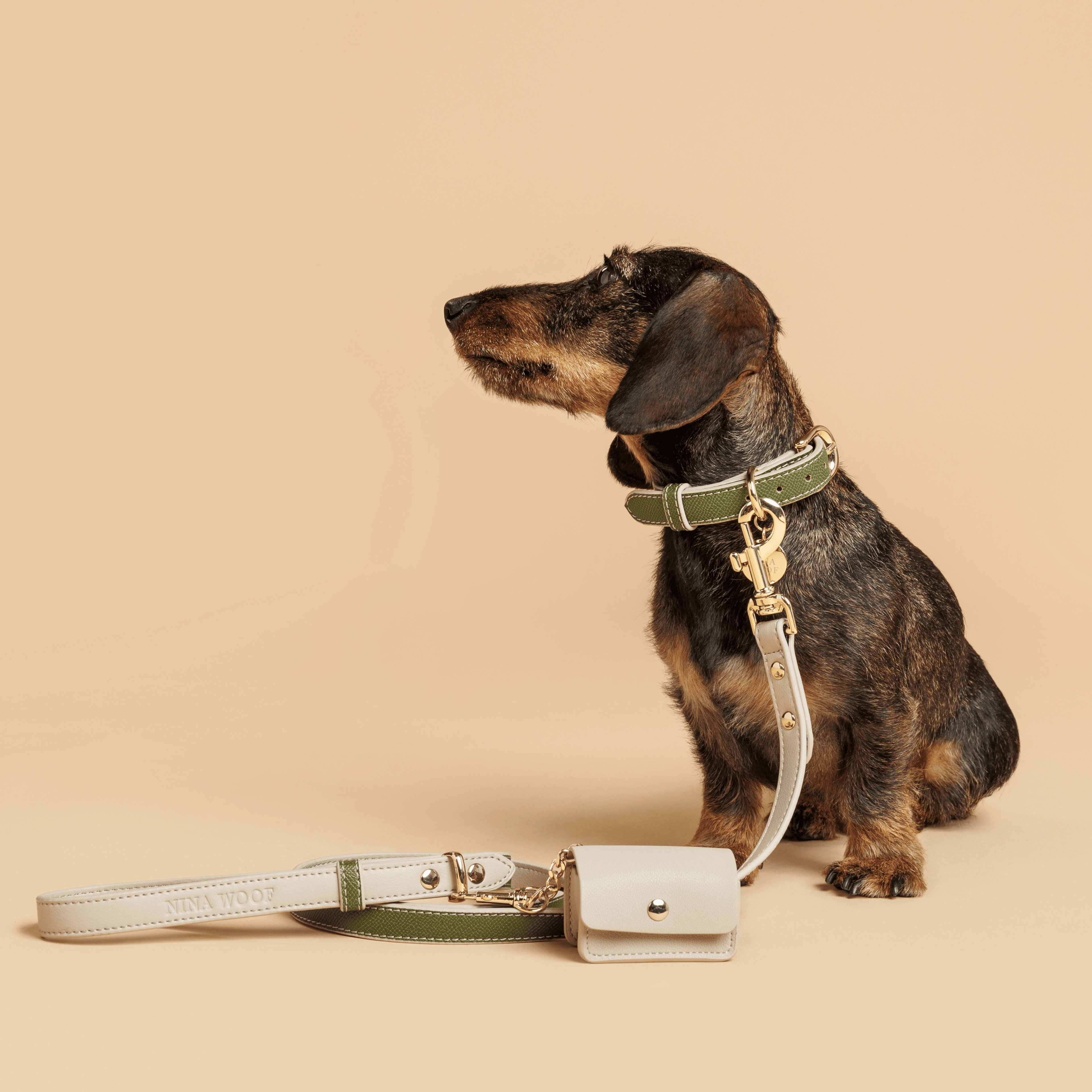 Collar Oliva de Cuero Vegano para Perros | Estilo Nórdico Copenhagen