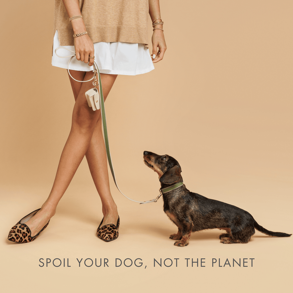 Collar Oliva de Cuero Vegano para Perros | Estilo Nórdico Copenhagen
