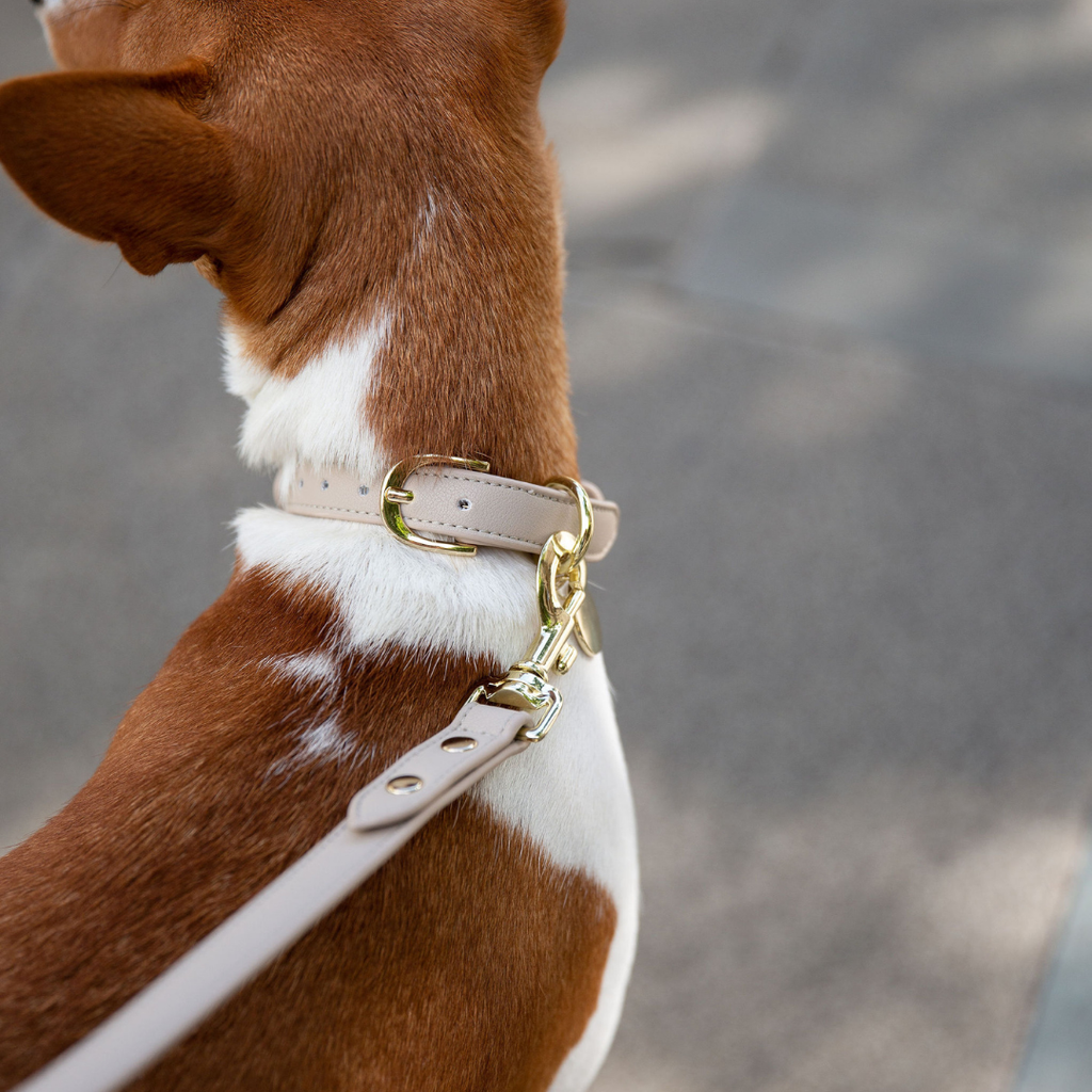 Collar Beige de Cuero Vegano para Perros | Estilo Nórdico Copenhagen