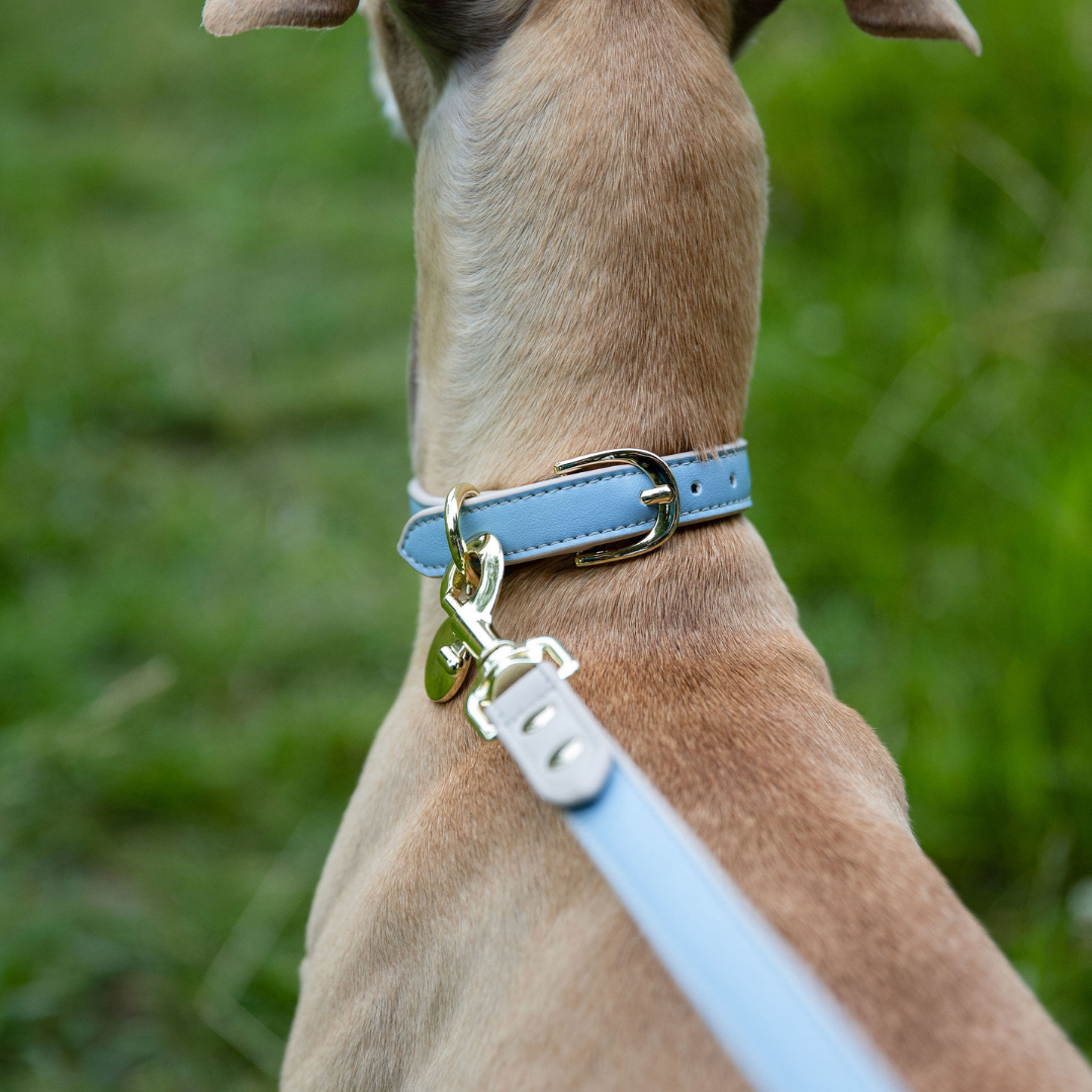 Correa Azul de Cuero Vegano para Perros | Estilo Cupertino Nina Woof