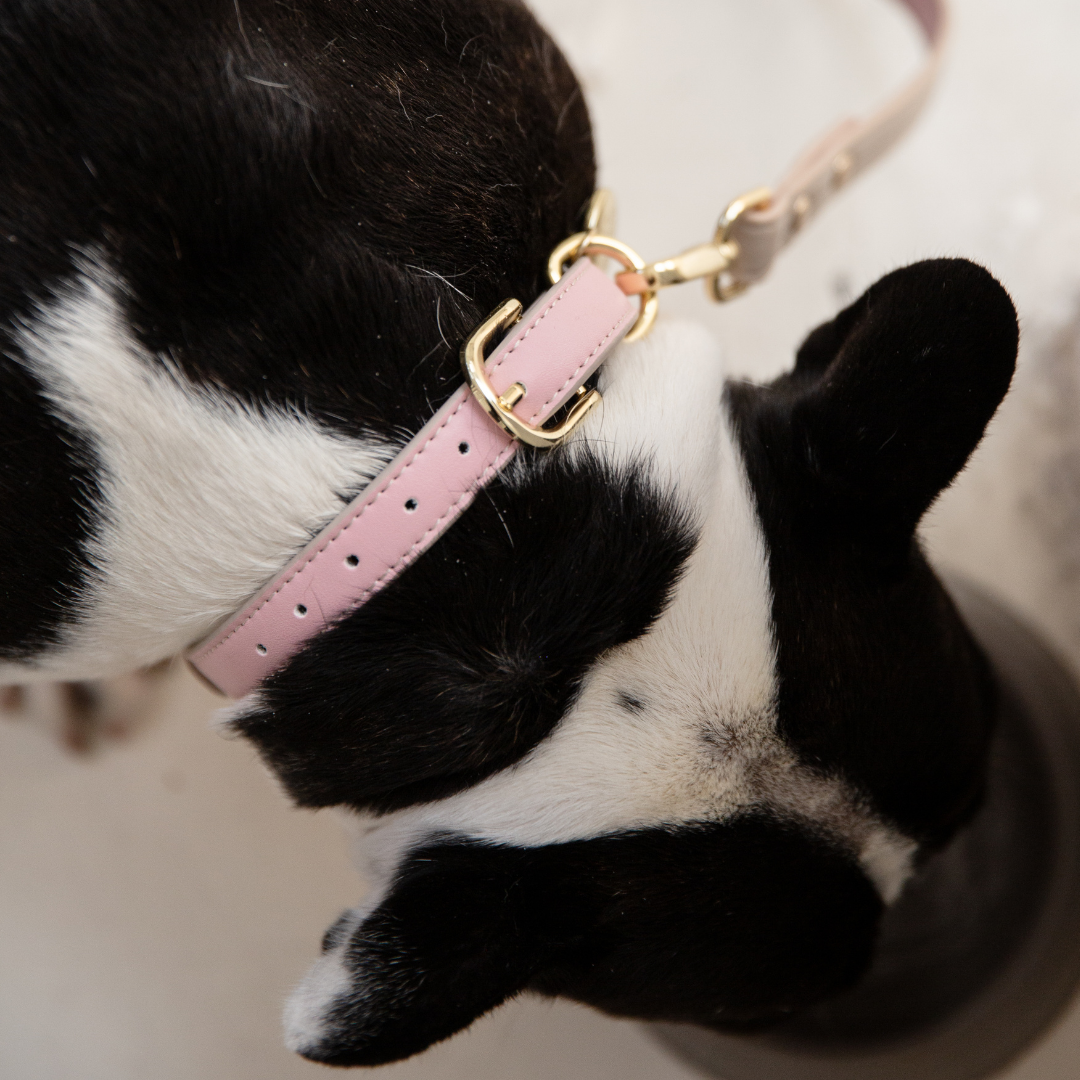Correa Rosa Claro de Cuero Vegano para Perros | Estilo Cupertino