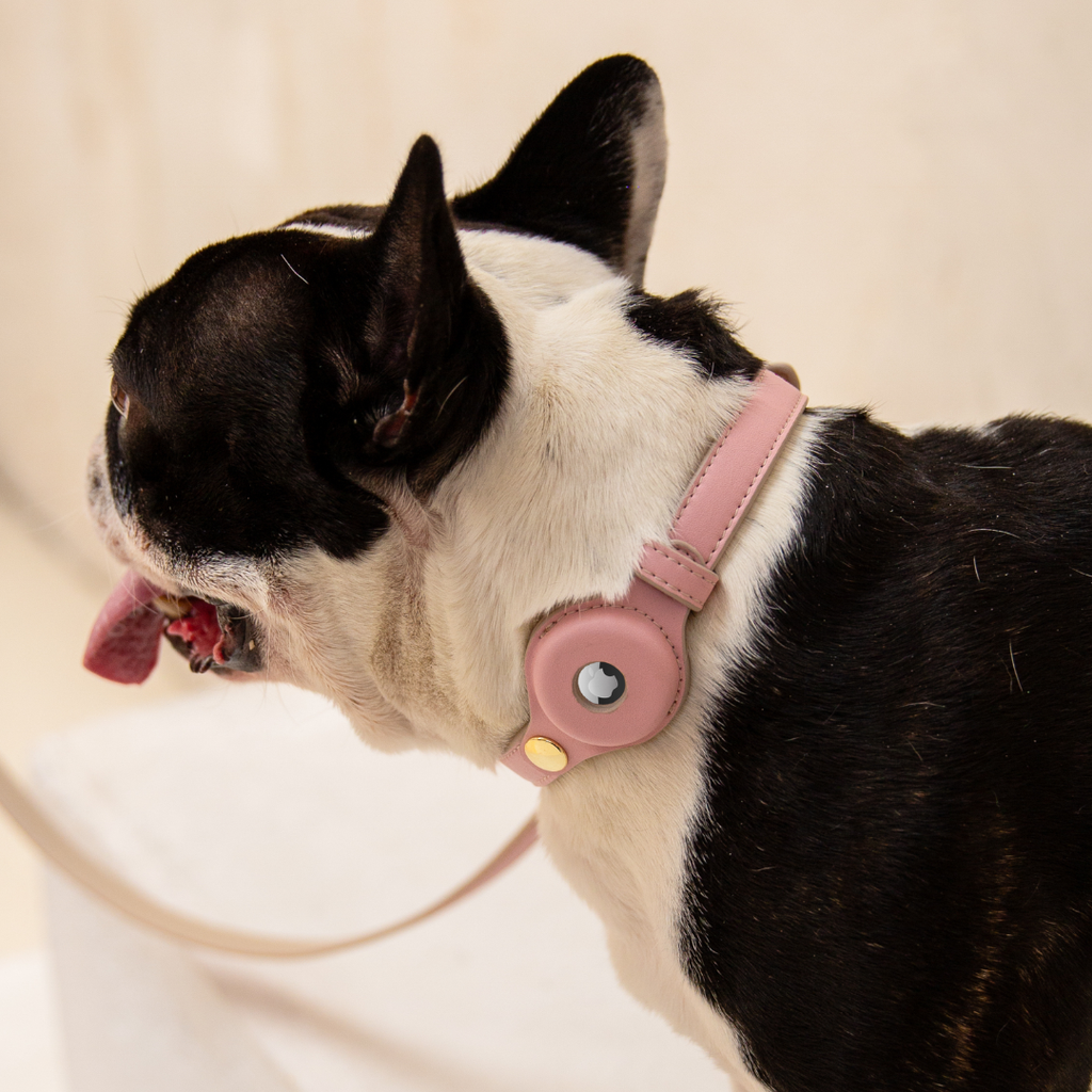 Collar con Soporte AirTag Rosa Claro | Cuero Vegano para Perros Cupertino