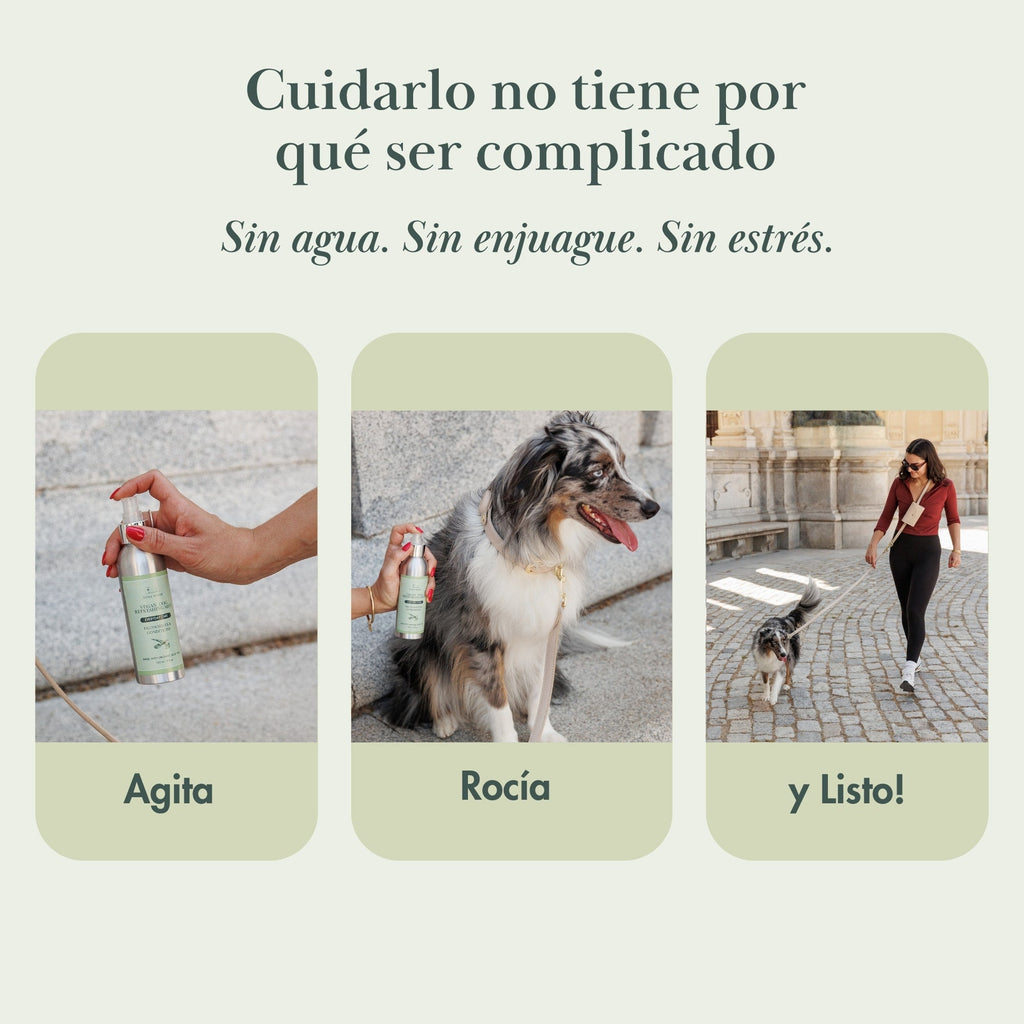 Spray Desodorizante para Perros | Colonia Vegana Sin Enjuague – Nina Woof