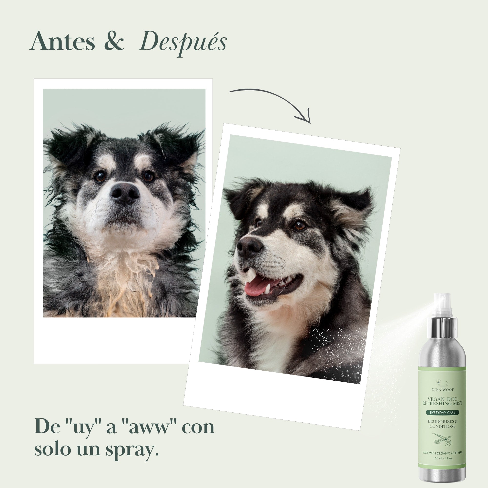 Spray Desodorizante para Perros | Colonia Vegana Sin Enjuague – Nina Woof