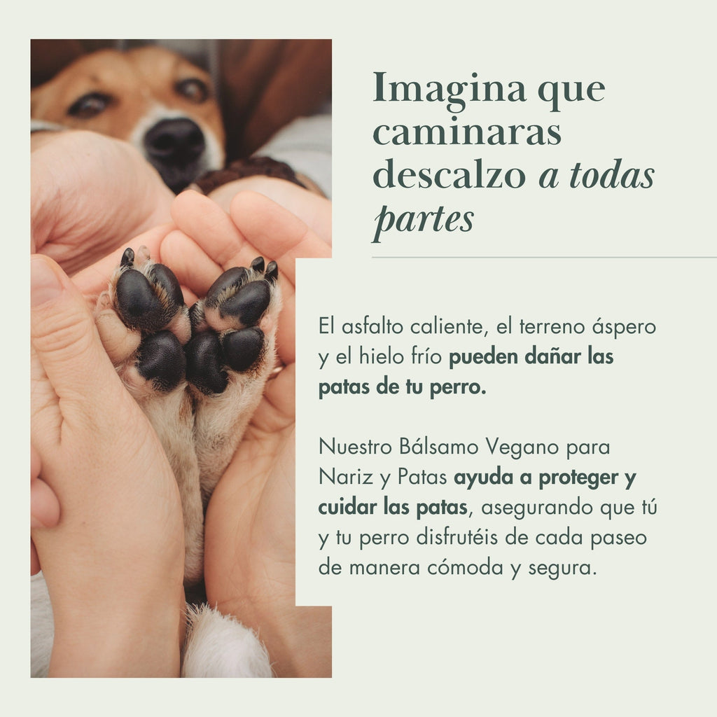 Bálsamo Vegano para Almohadillas y Nariz de Perro | 100% Natural y Orgánico