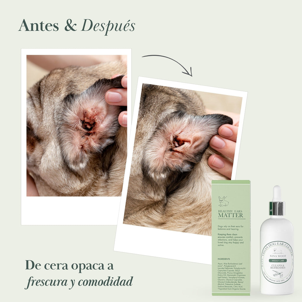Limpiador de Oídos Vegano para Perros | Aloe Vera, Hamamelis y Almendras