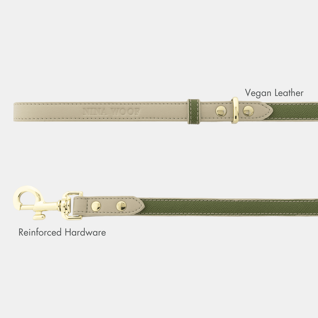 Correa Oliva de Cuero Vegano | Estilo Nórdico para Perros