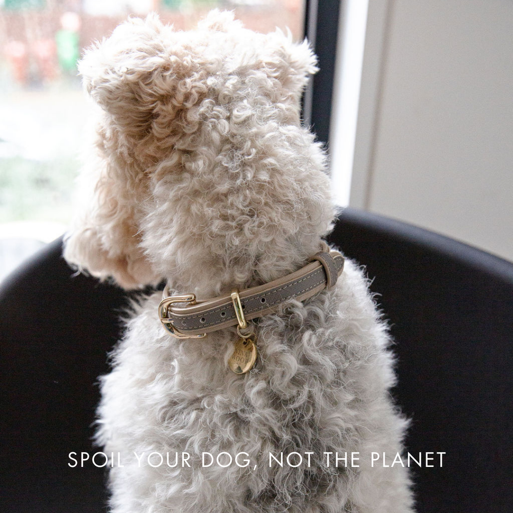 Collar Gris de Cuero Vegano para Perros | Estilo London Saffiano