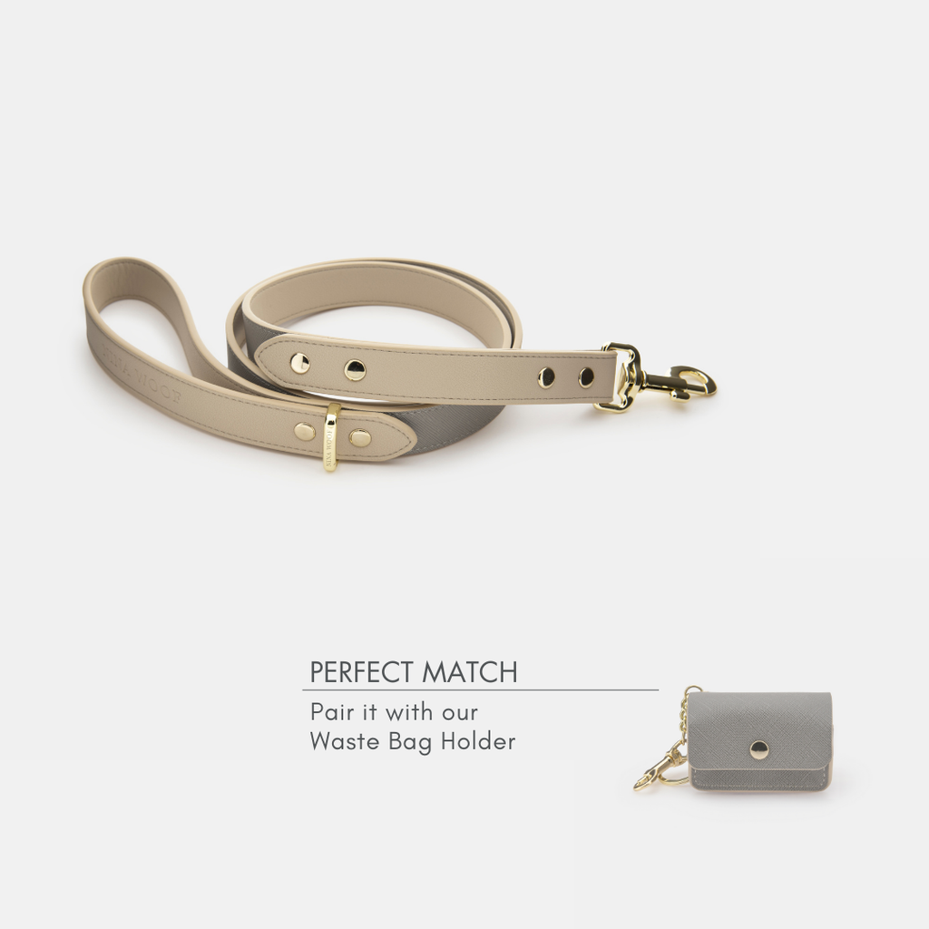 Correa Gris de Cuero Vegano Estilo Saffiano para Perros | Diseño London
