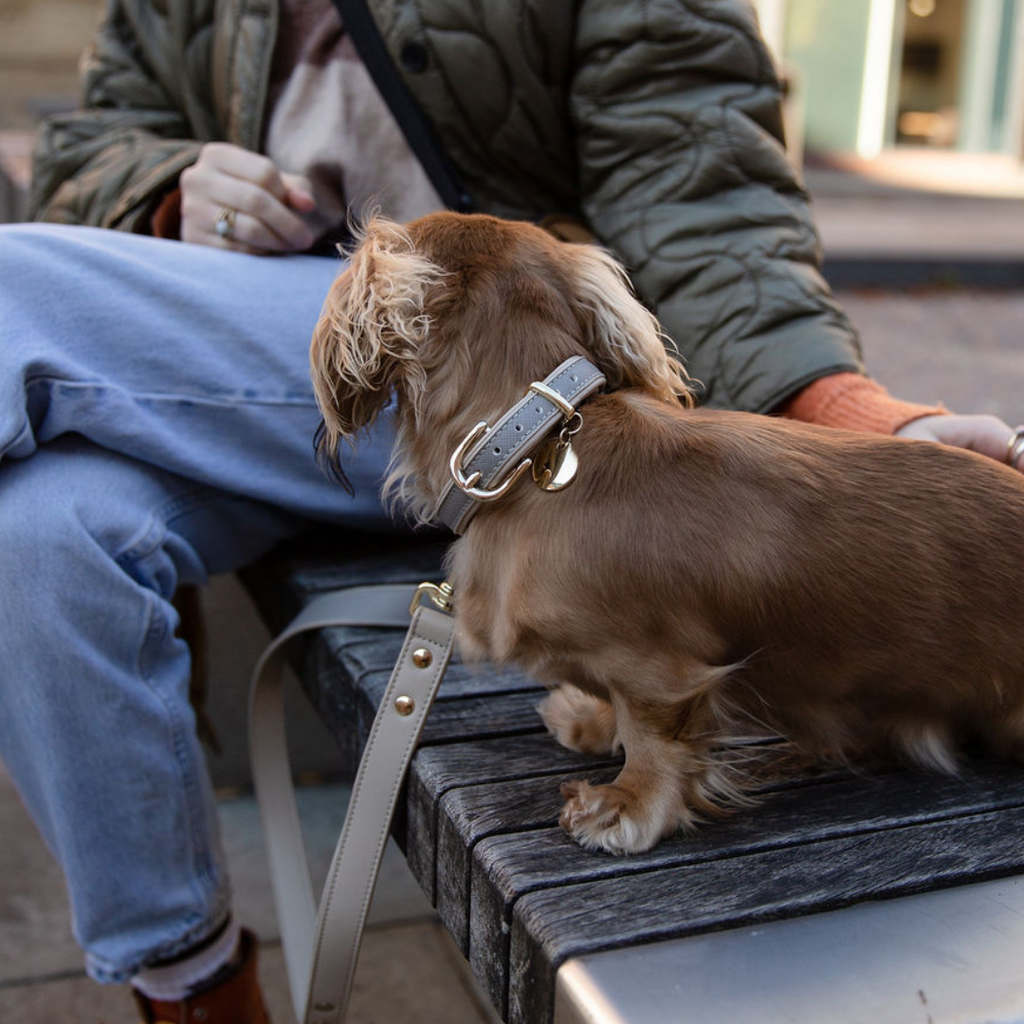 Correa Gris de Cuero Vegano Estilo Saffiano para Perros | Diseño London