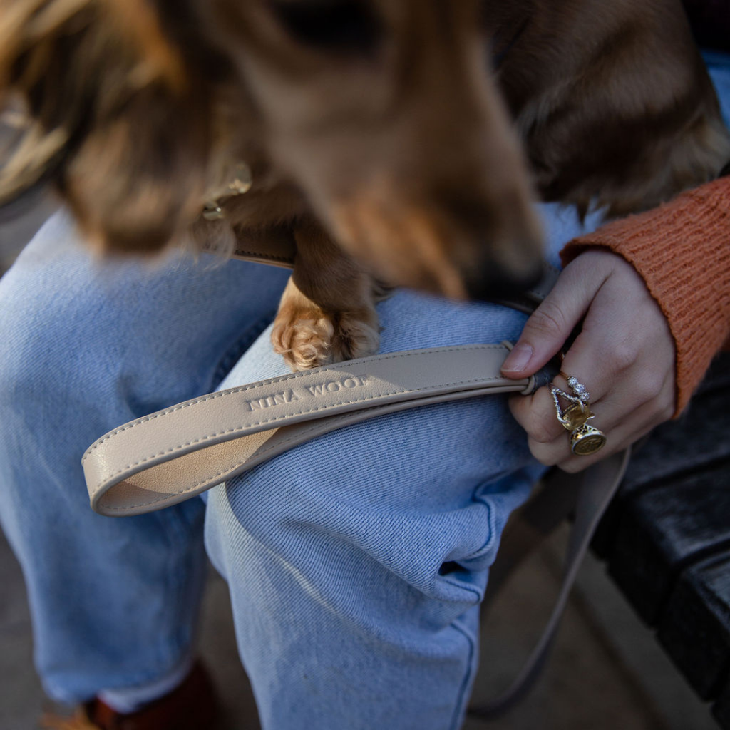 Correa Gris de Cuero Vegano Estilo Saffiano para Perros | Diseño London