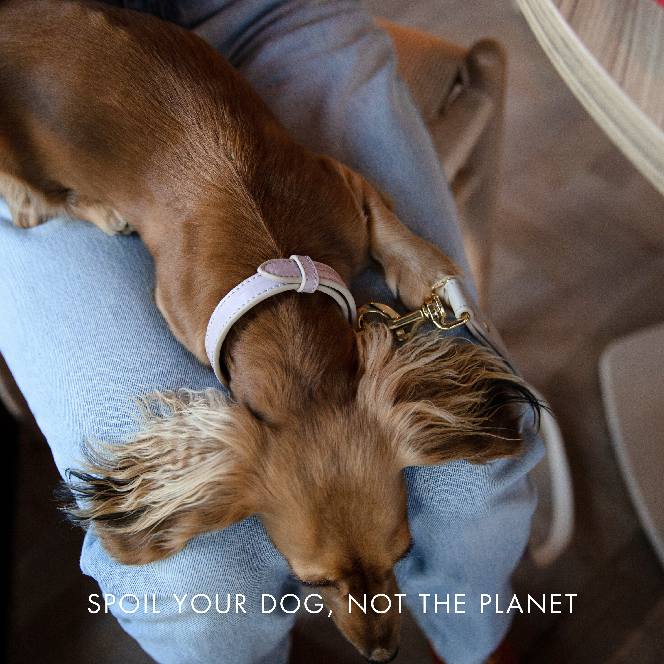 Collar Lila de Cuero Vegano Estilo Cocodrilo para Perros | Diseño Milan