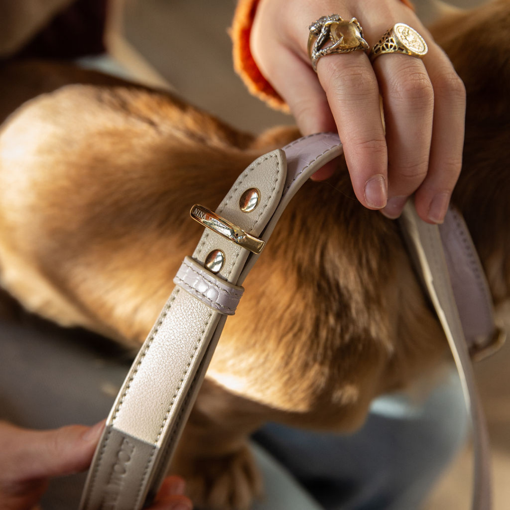 Correa Lila de Cuero Vegano Estilo Cocodrilo para Perros | Diseño Milan