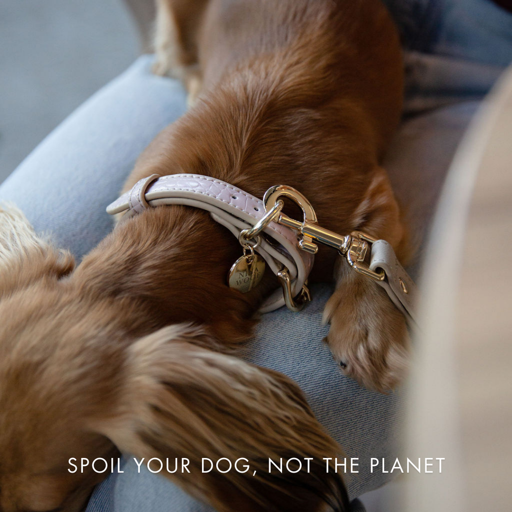Correa Lila de Cuero Vegano Estilo Cocodrilo para Perros | Diseño Milan
