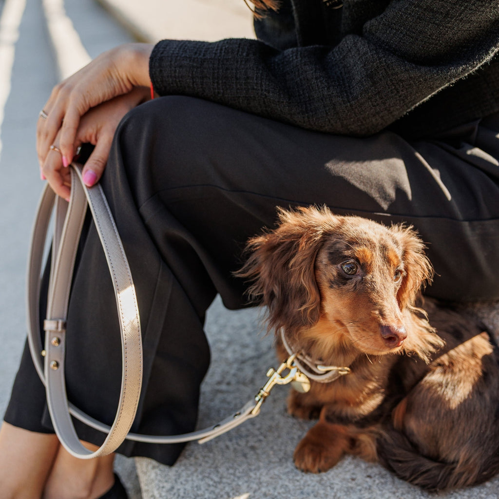 Collar Dorado de Cuero Vegano para Perros | Estilo Rio Saffiano