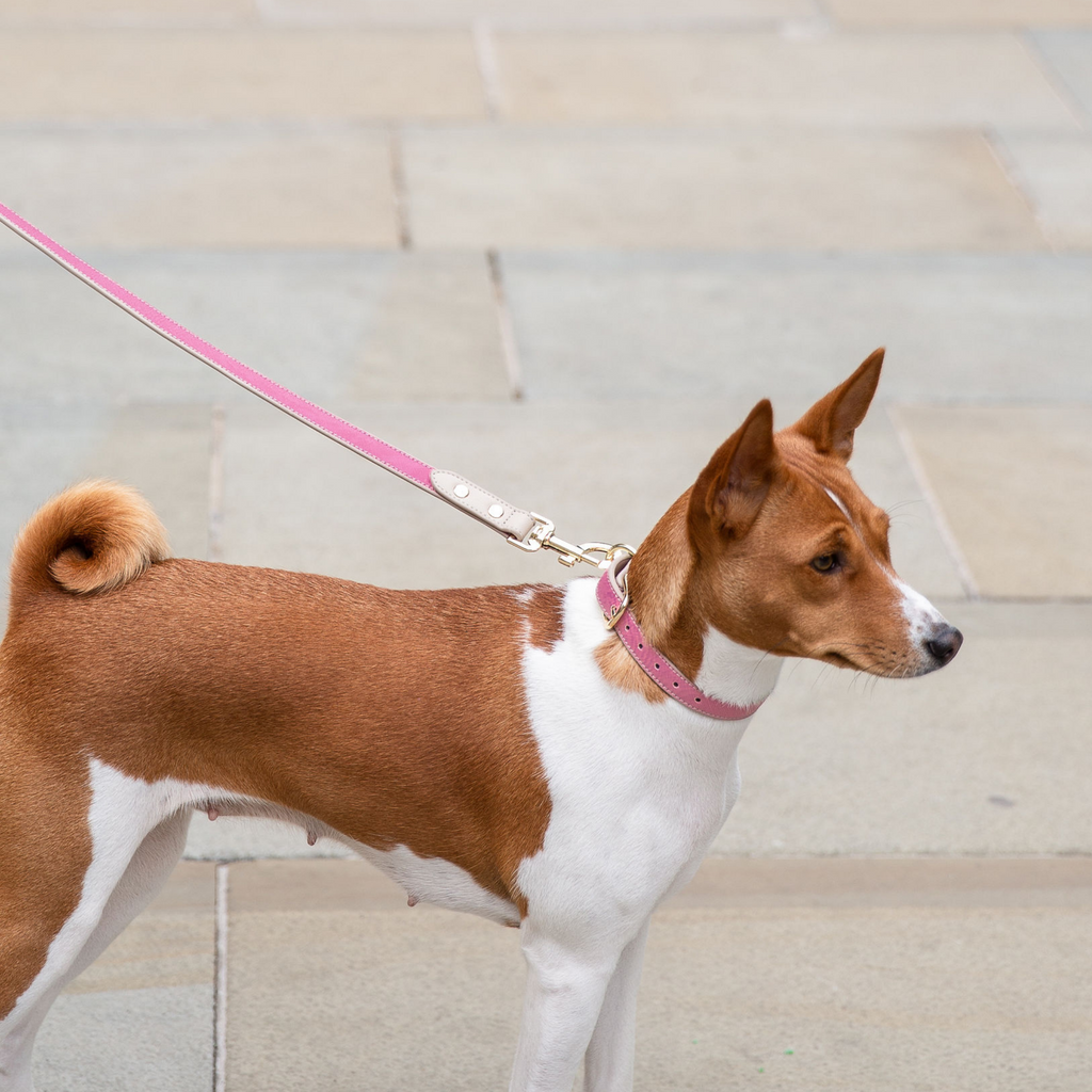 Correa Rosa de Cuero Vegano Estilo Saffiano para Perros | Diseño Rio