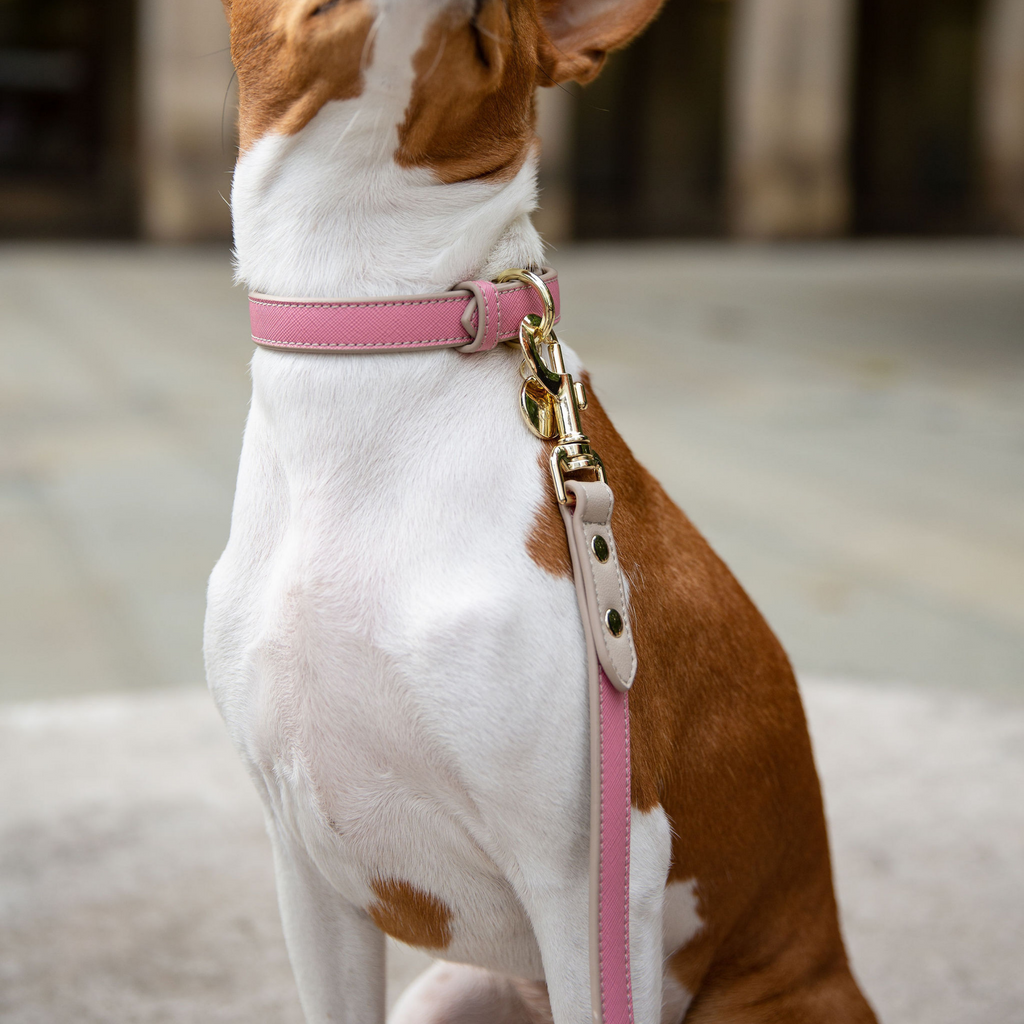 Correa Rosa de Cuero Vegano Estilo Saffiano para Perros | Diseño Rio