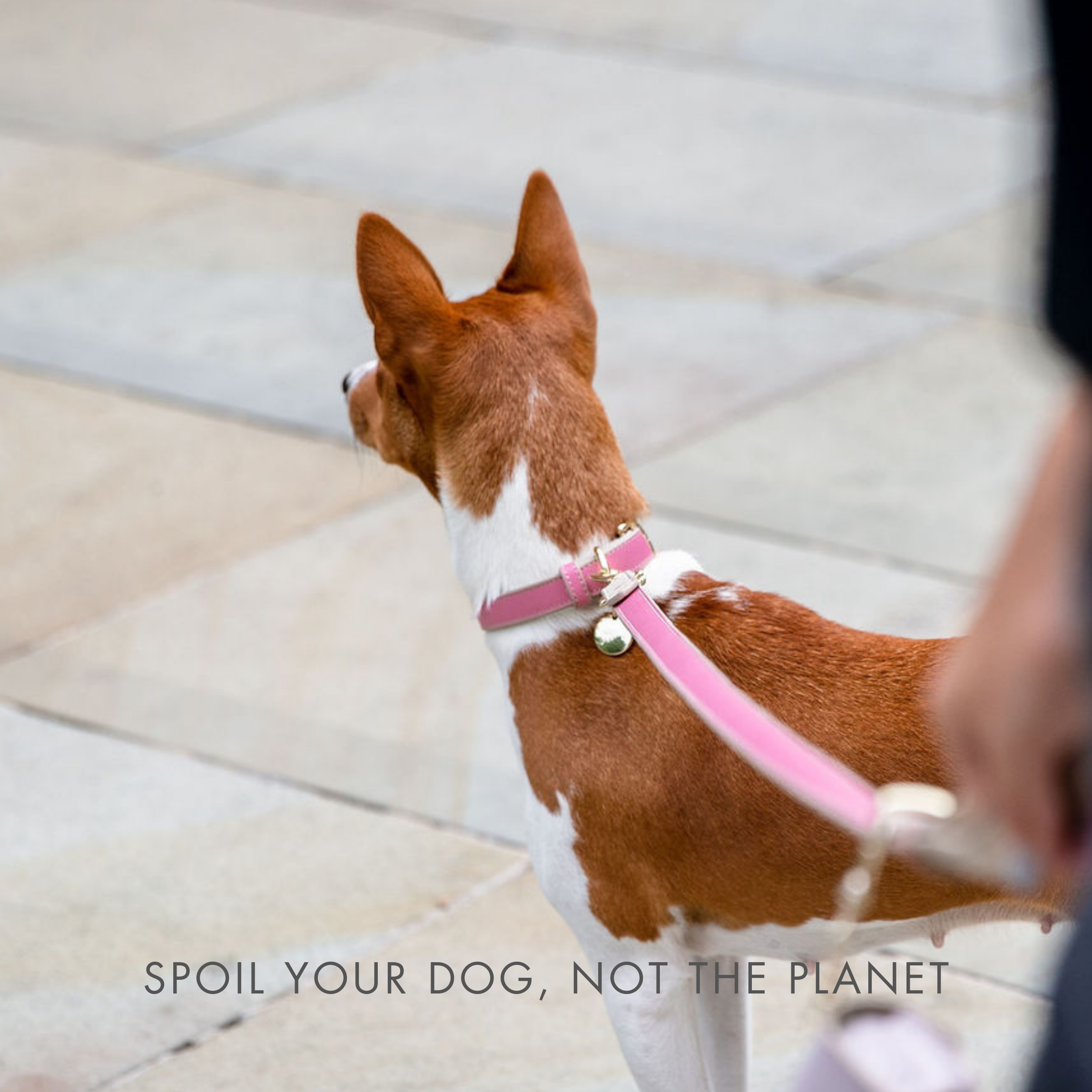 Correa Rosa de Cuero Vegano Estilo Saffiano para Perros | Diseño Rio