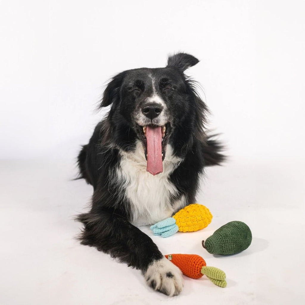 Pack 3 Juguetes Orgánicos para Perros | Zanahoria, Pera y Piña de Algodón